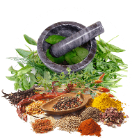 herbal sango ota ogun state